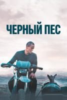 Чёрный пёс mp4